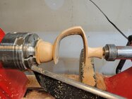 1000009606.jpg 1000009606.jpg