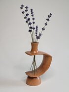 1000009623.jpg 1000009623.jpg