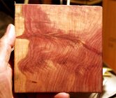 cedar_P9064289esc.jpg cedar_P9064289esc.jpg