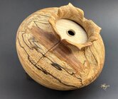 sycamore and maple.jpg