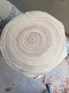 woodlot no checks.JPG