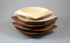 1771517507178.jpeg 1771517507178.jpeg