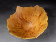 K3_06703LRs.jpg K3_06703LRs.jpg