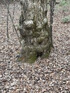 1772420885193.jpeg 1772420885193.jpeg