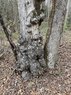 1772420927832.jpeg 1772420927832.jpeg