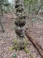 1772420998729.jpeg 1772420998729.jpeg