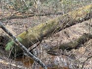 1772421148909.jpeg 1772421148909.jpeg