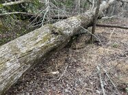 1772421198277.jpeg 1772421198277.jpeg