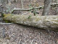 1772421253880.jpeg 1772421253880.jpeg