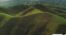 Capture.JPG Capture.JPG