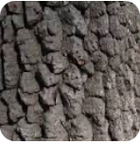 Screenshot 2026-03-04 at 5.26.49 PM.png