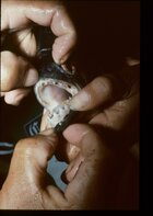 IMG_4175.jpeg IMG_4175.jpeg