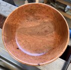 IMG_8761.jpeg IMG_8761.jpeg