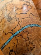 PXL_20260314_161927040.jpg PXL_20260314_161927040.jpg