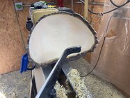 1774025331242.jpeg 1774025331242.jpeg