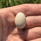 IMG_4872.jpeg IMG_4872.jpeg