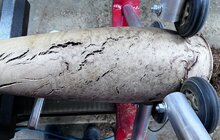 IMG_4216.jpeg IMG_4216.jpeg