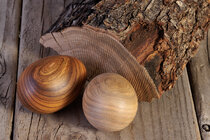 Wood ID 001-1.jpg Wood ID 001-1.jpg