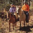 1775790085038.jpeg 1775790085038.jpeg