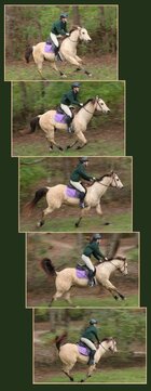 1775790133274.jpeg 1775790133274.jpeg