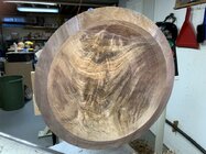 IMG_2269.jpeg IMG_2269.jpeg