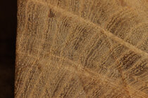 Wood Finishing 001 - Polishing and Gloss Finishing Eggs-4.jpg