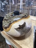 IMG_1076 2 Medium.jpeg