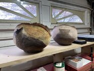 IMG_1092 3 Medium.jpeg