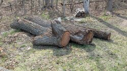 PXL_20260424_152609039.jpg