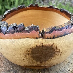 Didn’t lose the bark!