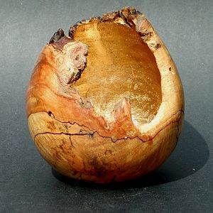 Maple Burl Hollow Form