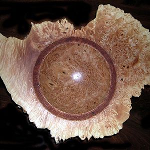 Big Leaf Maple Burl Bowl