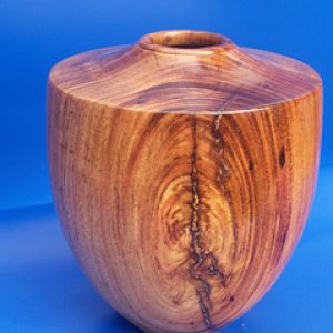 copaiba vessel