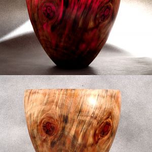 Norfolk Island Pine Bowl