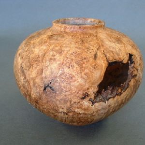 Silver Maple burl vessel