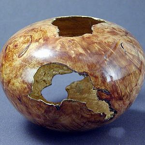 maple burl w/gold leaf