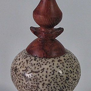 Magic Medicine Nut Lidded Hollowform