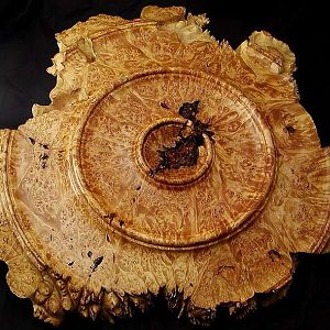 maple burl wall hanging