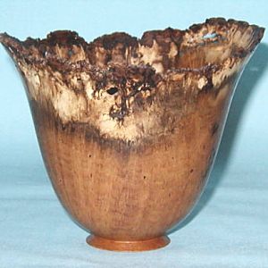 Locust Burl