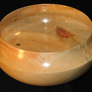 Box Elder Bowl