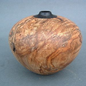 Silver Maple burl/ Ebony