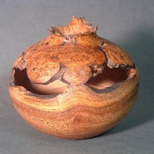 Elm burl