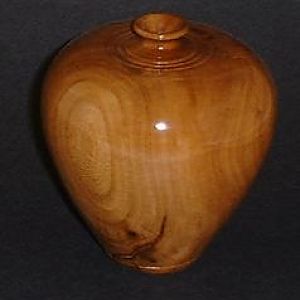 Buttonwood Vessel