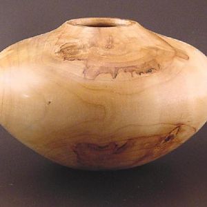 Silver Maple Pot 5025