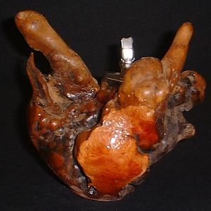 Manzanita Root Burl Oil Lamp