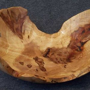 natural edged maple burl