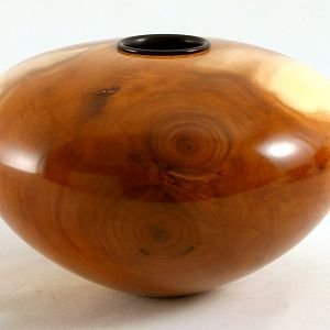 Pacific Yew / Ebony Collar