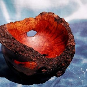 Mesquite Burl