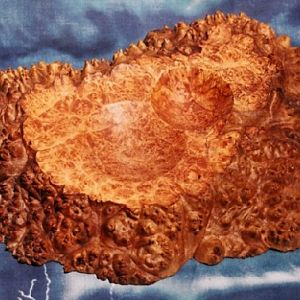 Mulitcentric Maple Burl Slab