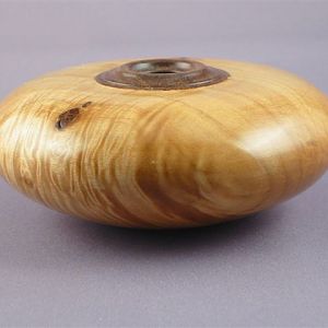 Maple Hollow Form